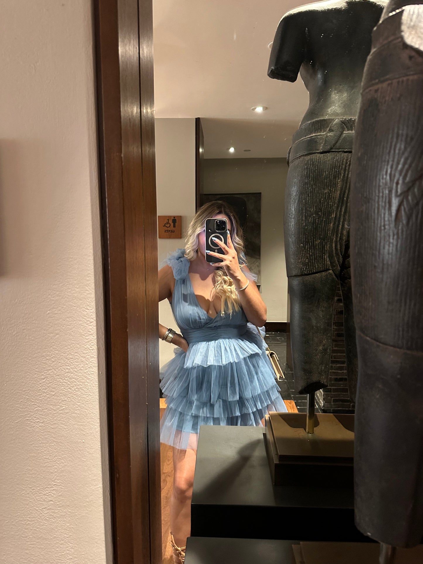 Ella Mesh Mini Dress